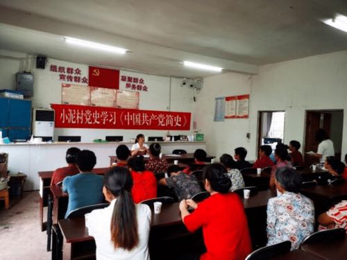 錢塘鎮(zhèn)各黨支部深入開展《中國(guó)共產(chǎn)黨簡(jiǎn)史》學(xué)習(xí)活動(dòng)